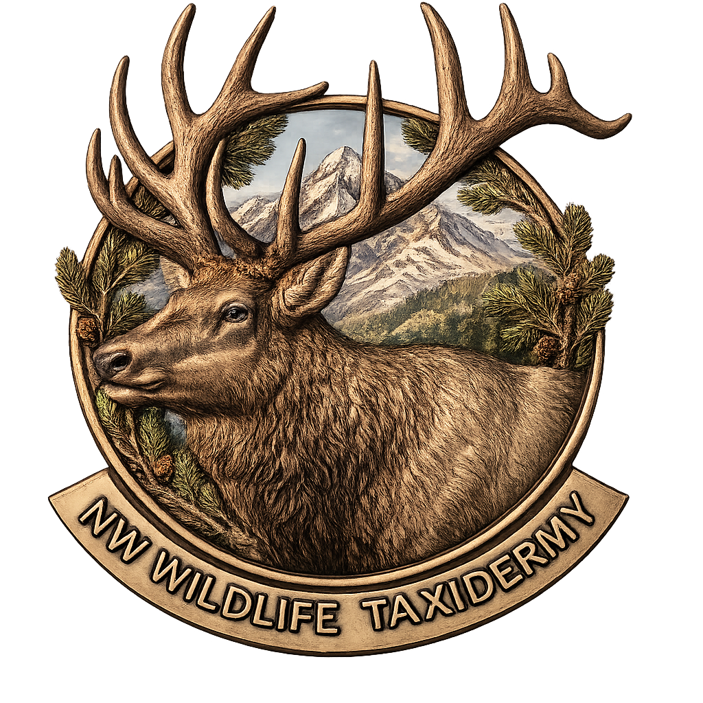 NW Wildlife Taxidermy